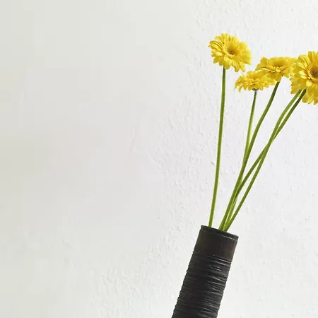 Rue Lemoine Xxl Lejlighed