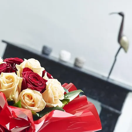 Rue Lemoine Xxl Angers