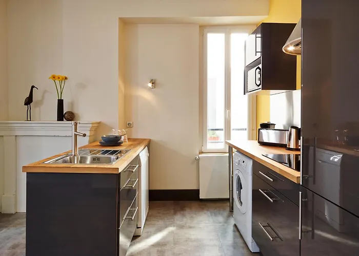 公寓 Rue Lemoine Xxl 昂热