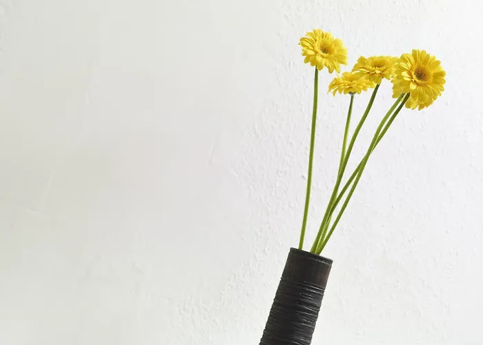 Rue Lemoine Xxl شقة