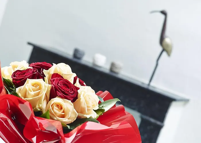 Rue Lemoine Xxl 昂热